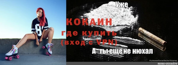 индика Богданович