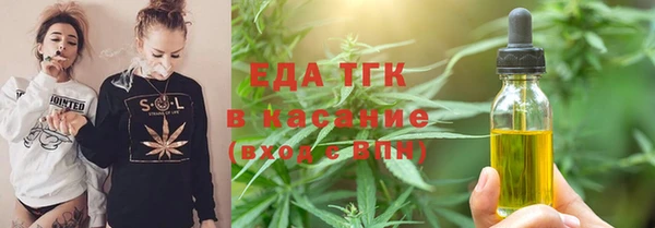 индика Богданович