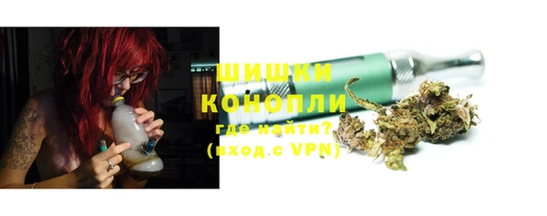 индика Богданович