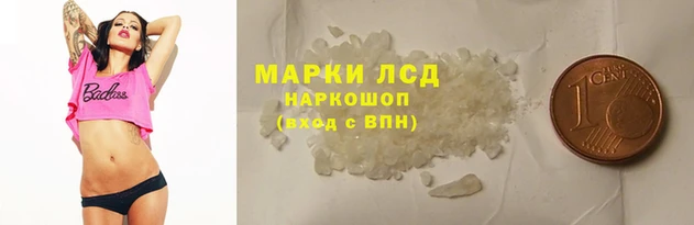 индика Богданович