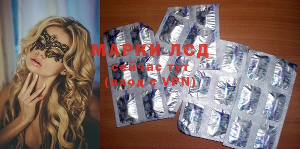 индика Богданович