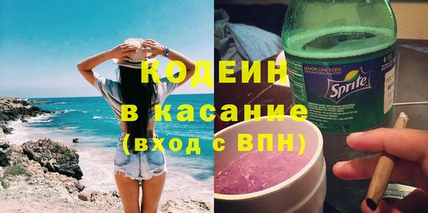 индика Богданович