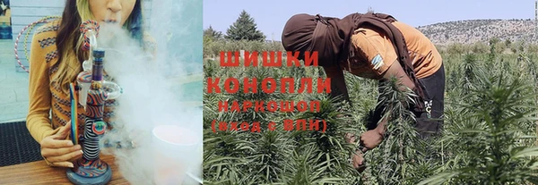 гидропоника Богородск