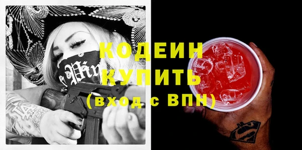 индика Богданович