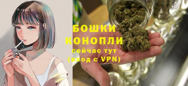 молекула духа Аркадак