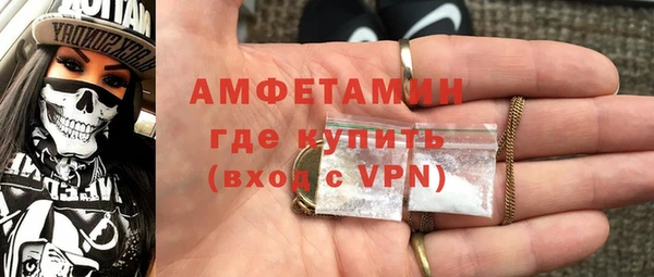 индика Богданович