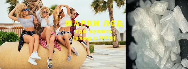индика Богданович