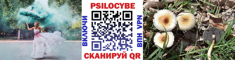 продажа наркотиков  Пятигорск  Псилоцибиновые грибы GOLDEN TEACHER 